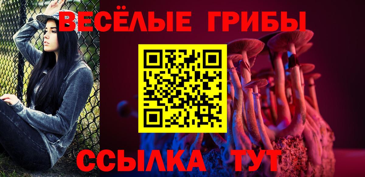 Галлюциногенные грибы ЛСД  купить закладку  Кунгур  Вход с VPN 